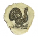 Pin wood grouse